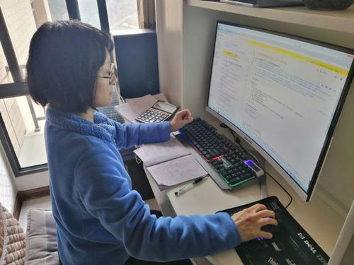 宅家安心包 計算機軟硬件技術(shù)開發(fā)全攻略